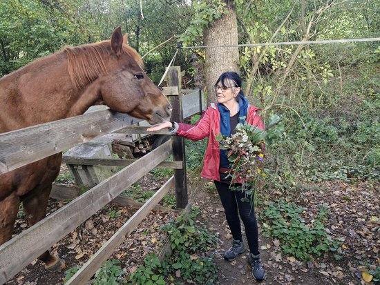 Eine Frau mit Brille und roter Jacke füttert ein braunes Pferd über einen Holzzaun. Sie hält einen Blumenstrauß in der anderen Hand. Die Szene spielt sich im Wald ab.